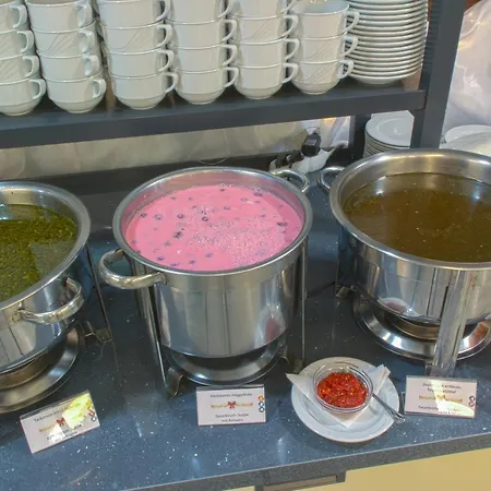 Hotel Wellness Katalin 4*