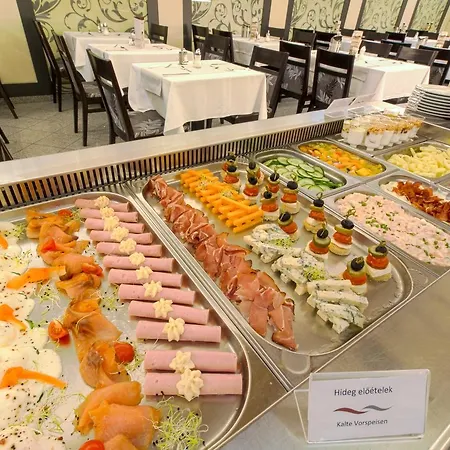 فندق Wellness Katalin 4*